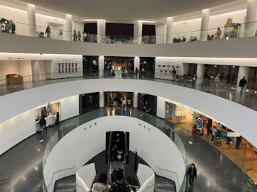 福井県立恐竜博物館に投稿された画像（2025/3/16）