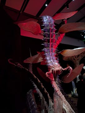 金曜ロードショーとジブリ展　三重展に投稿された画像（2025/3/16）