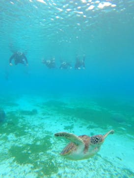 nico 宮古島に投稿された画像（2025/3/17）