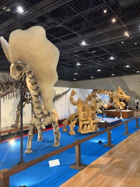 福井県立恐竜博物館に投稿された画像（2025/3/17）
