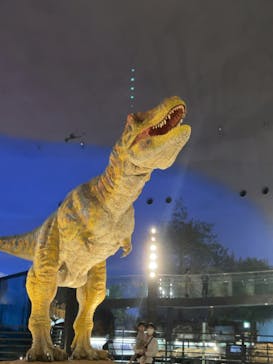 福井県立恐竜博物館に投稿された画像（2025/3/17）