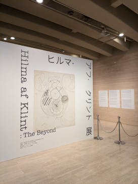 ヒルマ・アフ・クリント展（東京国立近代美術館）に投稿された画像（2025/3/17）