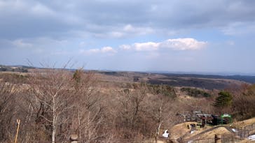 那須どうぶつ王国に投稿された画像（2025/3/17）