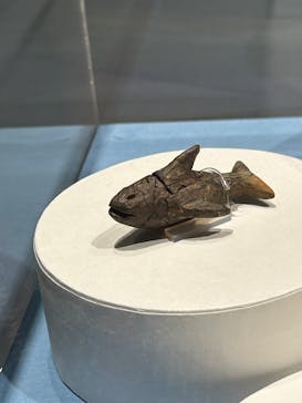特別展「古代DNA－日本人のきた道」（国立科学博物館）に投稿された画像（2025/3/17）