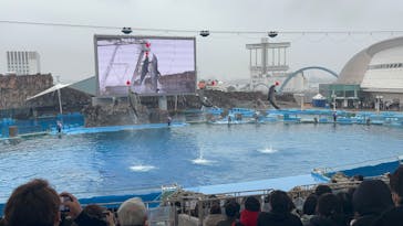 名古屋港水族館に投稿された画像（2025/3/17）