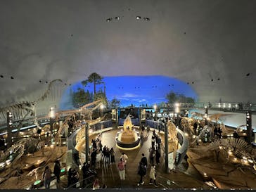 福井県立恐竜博物館に投稿された画像（2025/3/17）