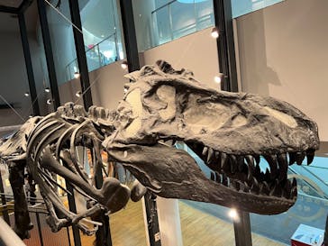 福井県立恐竜博物館に投稿された画像（2025/3/17）