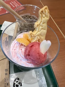 福井県立恐竜博物館に投稿された画像（2025/3/17）