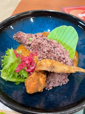 福井県立恐竜博物館に投稿された画像（2025/3/17）