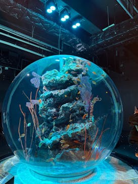 AQUARIUM × ART　atoaに投稿された画像（2025/3/17）