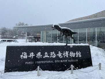 福井県立恐竜博物館に投稿された画像（2025/3/17）