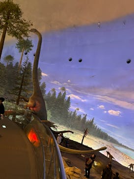 福井県立恐竜博物館に投稿された画像（2025/3/17）