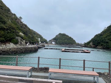 太地町立くじらの博物館に投稿された画像（2025/3/16）