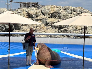 大分マリーンパレス水族館 「うみたまご」に投稿された画像（2025/3/17）