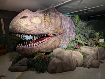 海洋堂ホビーランドに投稿された画像（2025/3/17）