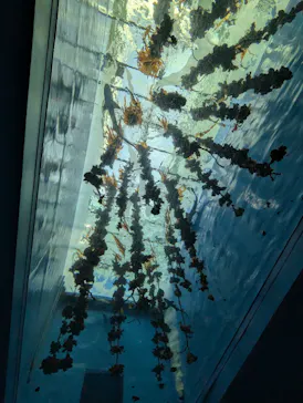 仙台うみの杜水族館に投稿された画像（2025/3/17）