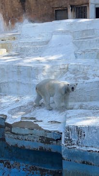 天王寺動物園に投稿された画像（2025/3/17）