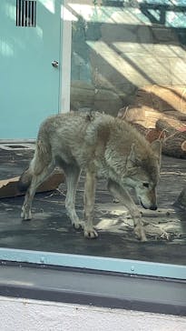 天王寺動物園に投稿された画像（2025/3/17）