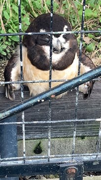 天王寺動物園に投稿された画像（2025/3/17）