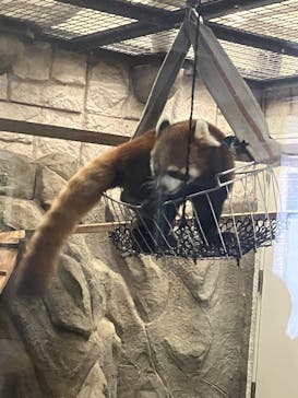 天王寺動物園に投稿された画像（2025/3/17）