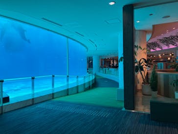 マリンワールド海の中道に投稿された画像（2025/3/17）