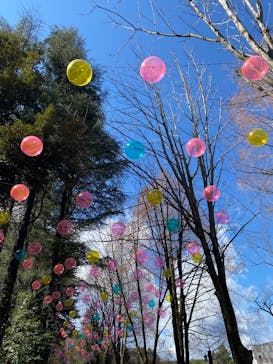 ムーミンバレーパークに投稿された画像（2025/3/17）