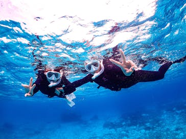 SUNSHINE MARIN 宮古島に投稿された画像（2025/3/17）