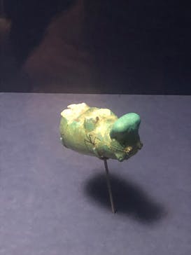 ブルックリン博物館所蔵 特別展 古代エジプトに投稿された画像（2025/3/17）