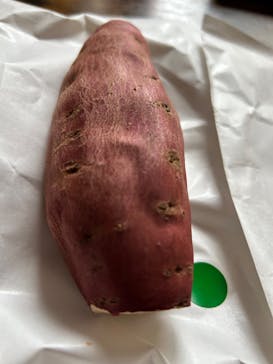 山形おいも万博2025に投稿された画像（2025/3/17）