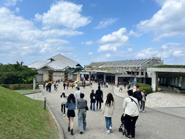 沖縄美ら海水族館に投稿された画像（2025/3/17）