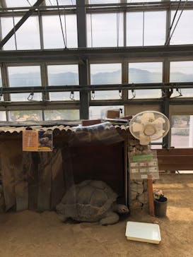 淡路ファームパーク イングランドの丘に投稿された画像（2025/3/17）