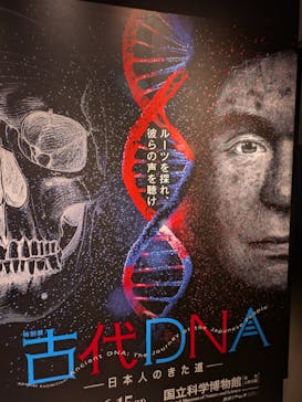 特別展「古代DNA－日本人のきた道」（国立科学博物館）に投稿された画像（2025/3/17）