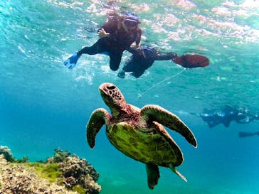 宮古島 ADVENTURE PiPi（ミヤコジマ アドベンチャー ピピ）に投稿された画像（2025/3/17）