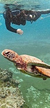 宮古島 ADVENTURE PiPi（ミヤコジマ アドベンチャー ピピ）に投稿された画像（2025/3/17）