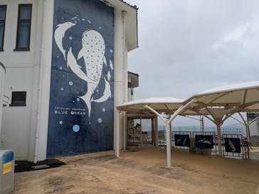 のとじま水族館に投稿された画像（2025/3/17）