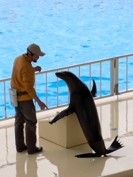 マリンワールド海の中道に投稿された画像（2025/3/17）