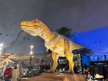 福井県立恐竜博物館に投稿された画像（2025/3/17）