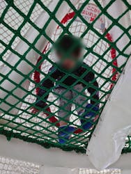 京王あそびの森HUGHUGに投稿された画像（2025/3/17）