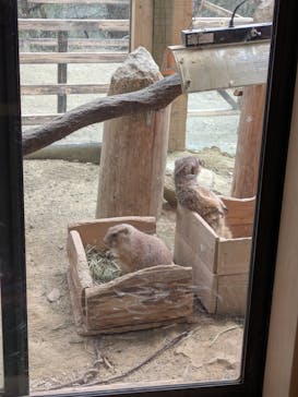 長崎バイオパークに投稿された画像（2025/3/17）