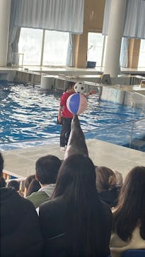 アクアワールド茨城県大洗水族館に投稿された画像（2025/3/17）