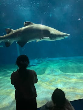 アクアワールド茨城県大洗水族館に投稿された画像（2025/3/17）