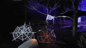 ニジゲンノモリに投稿された画像（2025/3/17）