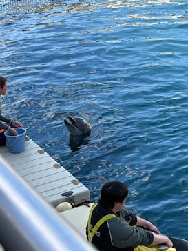 伊豆・三津シーパラダイスに投稿された画像（2025/3/17）