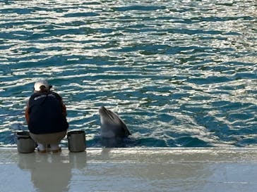 伊豆・三津シーパラダイスに投稿された画像（2025/3/17）