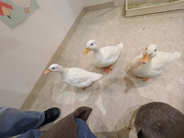 アニタッチららぽーと名古屋みなとアクルスに投稿された画像（2025/3/17）