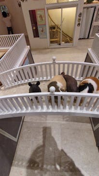 アニタッチららぽーと名古屋みなとアクルスに投稿された画像（2025/3/17）