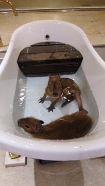 アニタッチららぽーと名古屋みなとアクルスに投稿された画像（2025/3/17）