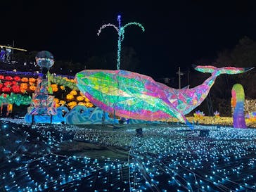 伊豆高原グランイルミに投稿された画像（2025/3/17）