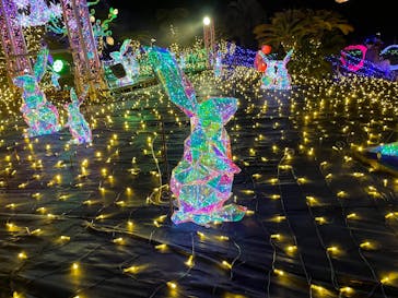 伊豆高原グランイルミに投稿された画像（2025/3/17）