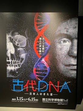特別展「古代DNA－日本人のきた道」（国立科学博物館）に投稿された画像（2025/3/17）